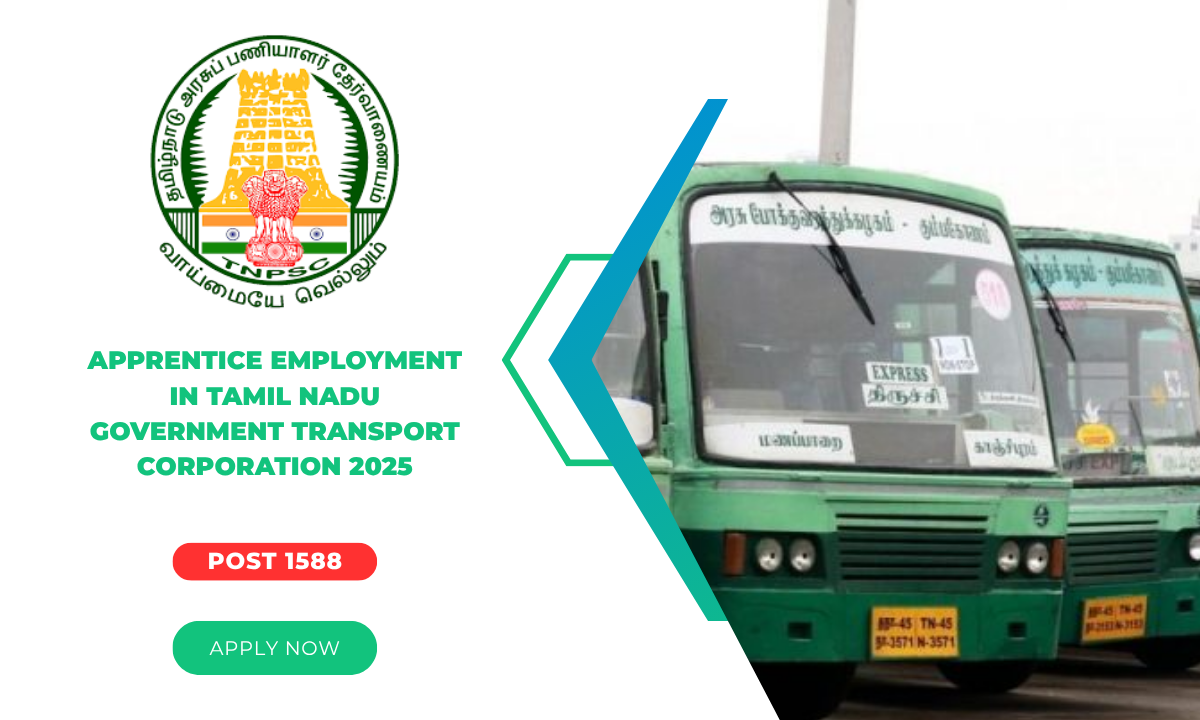 Apprentice Employment in Tamil Nadu Government Transport Corporation 2025